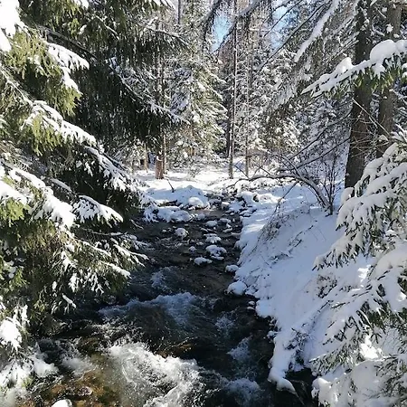 بيت خشبي Horska Ziaranka *