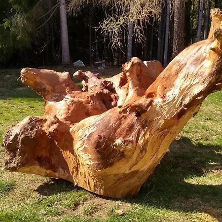 بيت خشبي Horska Ziaranka *