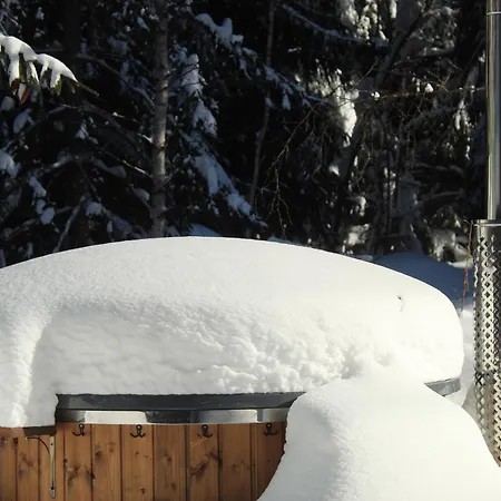 بيت خشبي Horska Ziaranka *